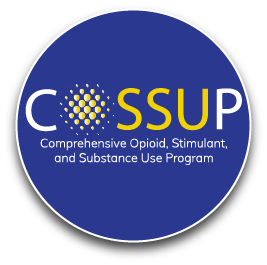 COSSAP Logo